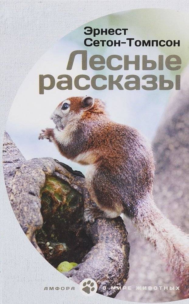 Лесные рассказы | Forest Tales