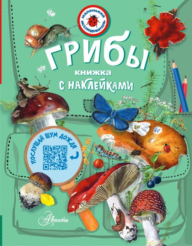 Грибы | Griby