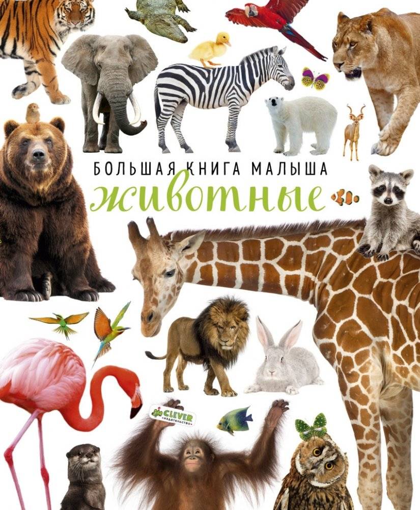 Большая книга малыша. Животные | Baby's Big Book of Animals
