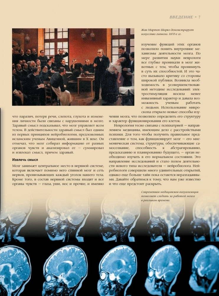 Мозг. История, теории и практики фото книги 3