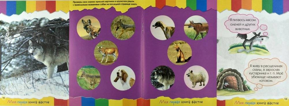 Моя первая книга фактов. Собаки фото книги 3