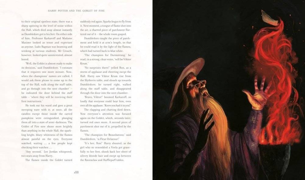 Harry Potter and the Goblet of Fire фото книги 5