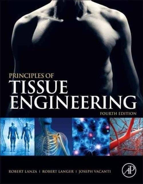 Принципы тканевой инженерии | Principles of Tissue Engineering