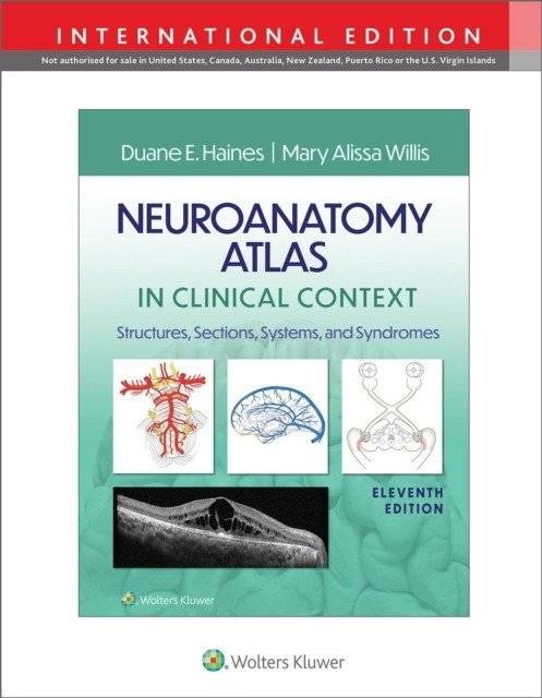 Атлас нейроанатомии в клиническом контексте | Neuroanatomy Atlas in Clinical Context