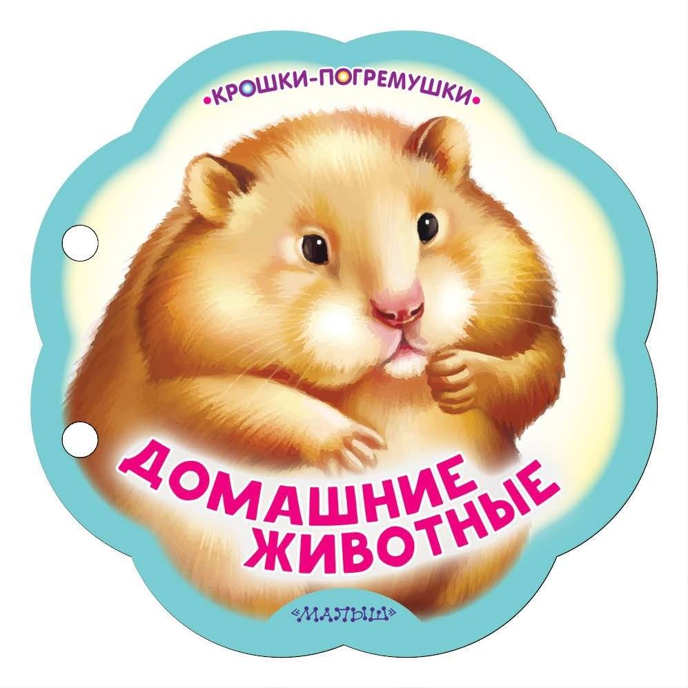 Домашние животные | Pets
