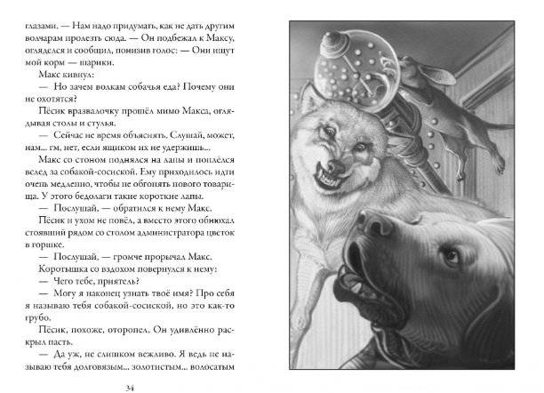 Верные. Книга 1. Когда исчезли все люди фото книги 3