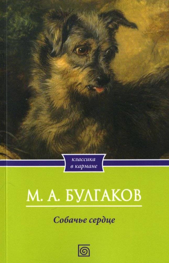 Собачье сердце | Heart of a Dog