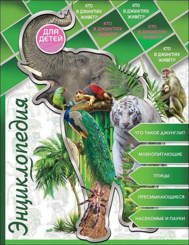 Энциклопедия для детей. Кто в джунглях живет? | Children's Encyclopedia: Who Lives in the Jungle?