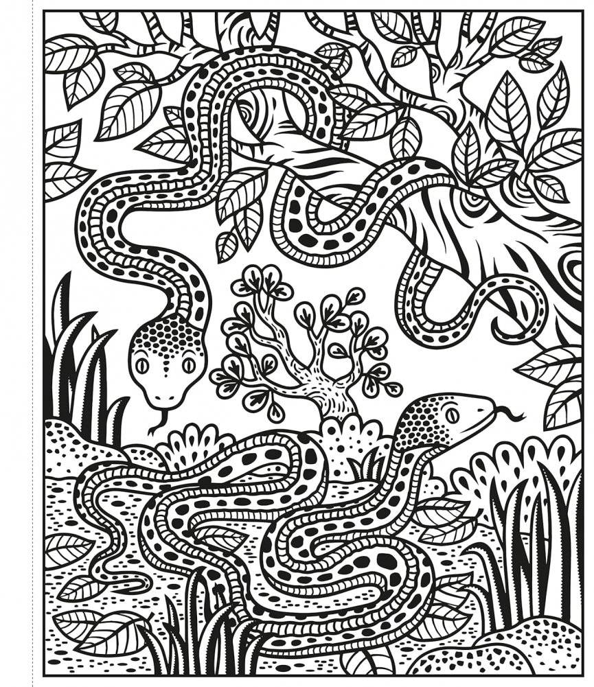 Zoo Magic Painting Book фото книги 3