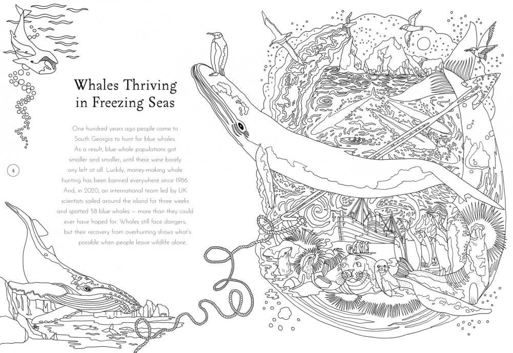Return of the Wild Colouring Book фото книги 3