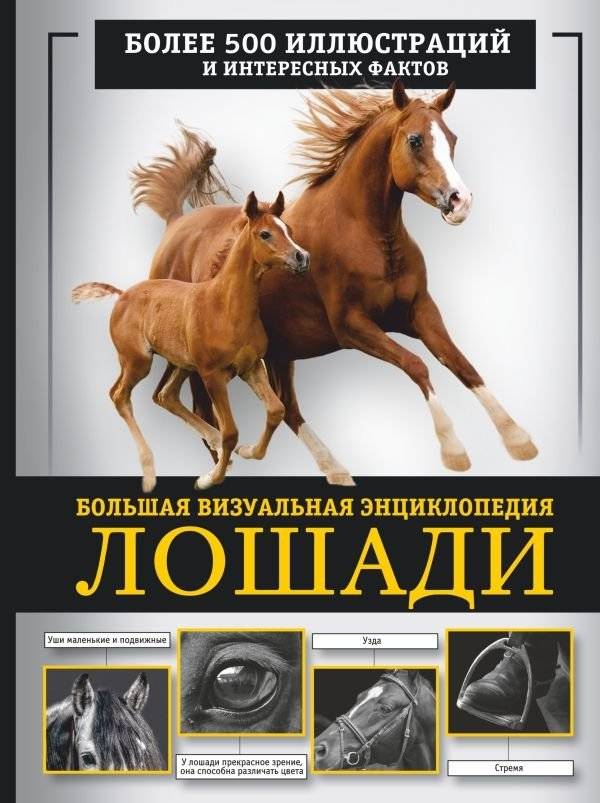 Лошади. Большая визуальная энциклопедия | Horses: A Visual Encyclopedia