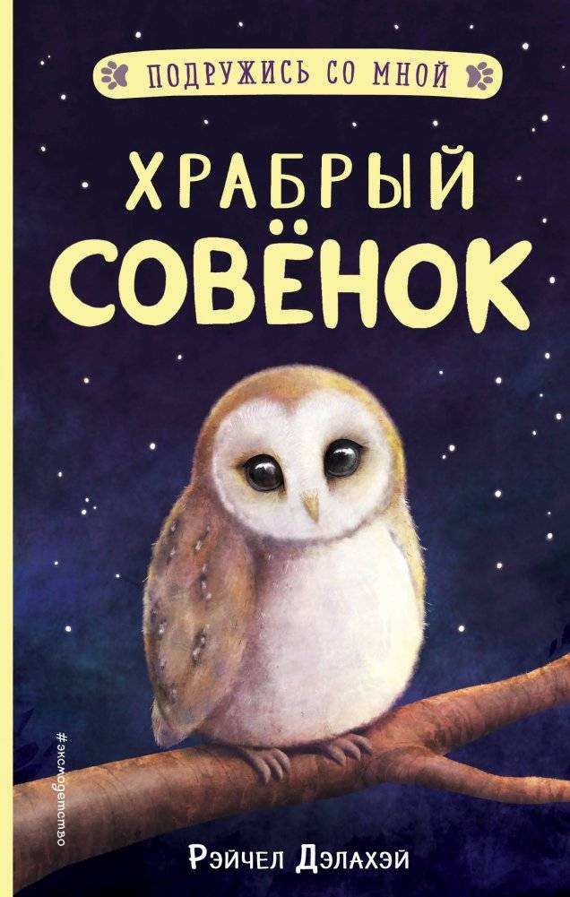 Храбрый совёнок | Brave Little Owl