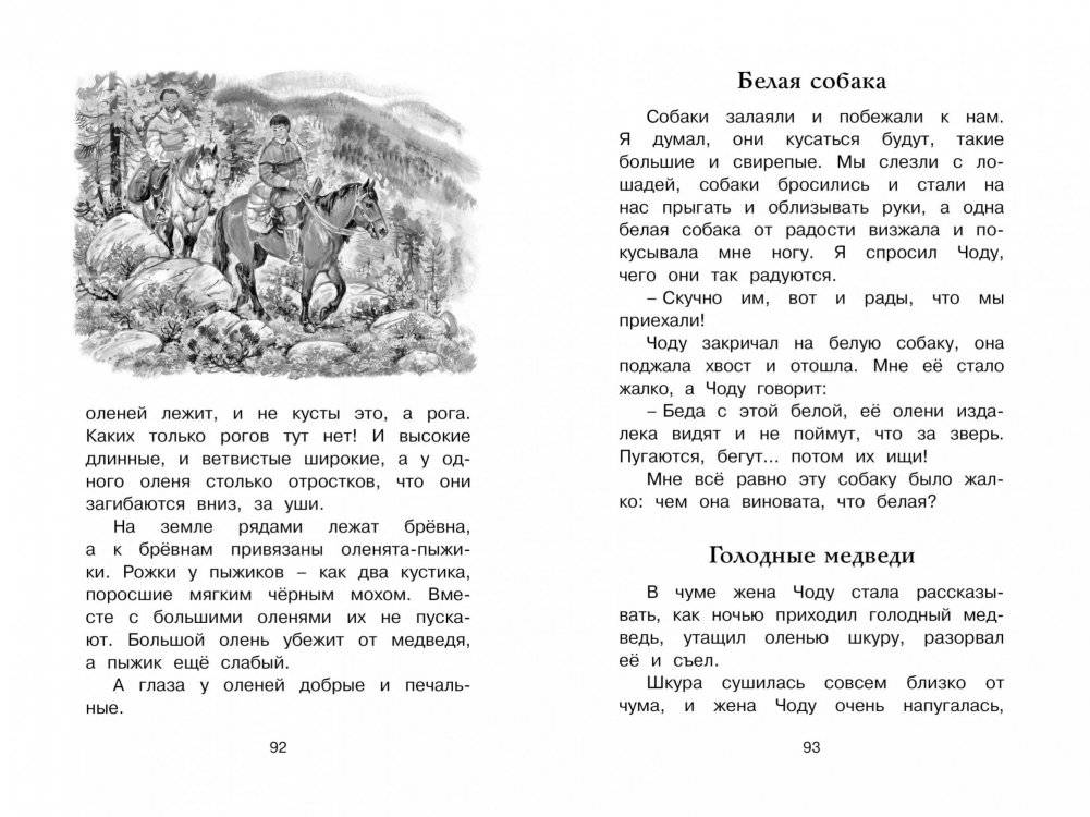 Беспокойный хвостик фото книги 4