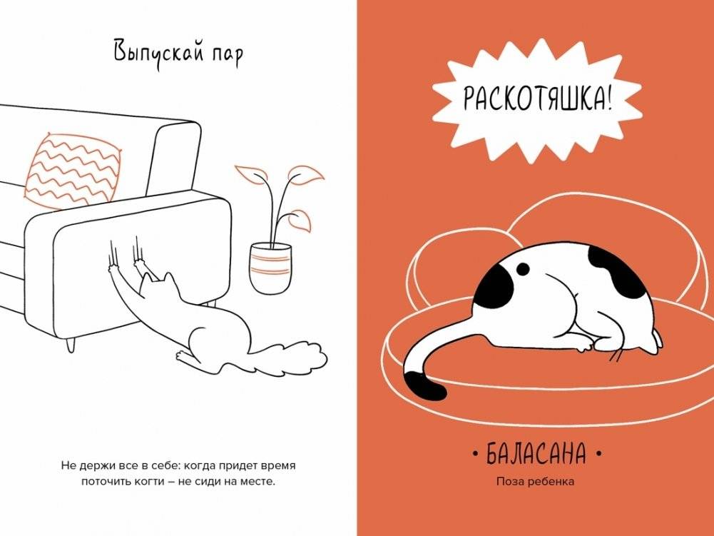 Кот всему голова. Кошачьи мудрости для жизни без стресса фото книги 4