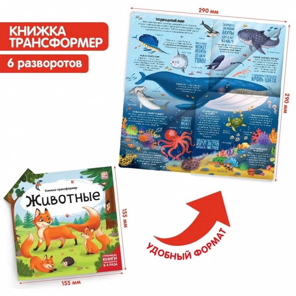 Транспорт. Книжка-трансформер фото книги 5