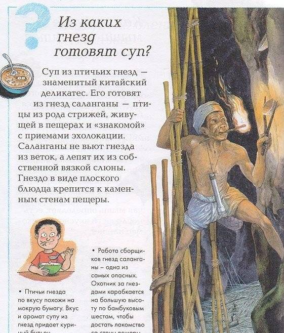 Что, зачем и почему? фото книги 2