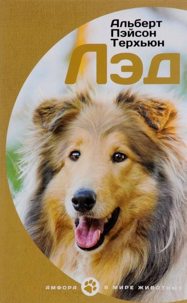 Лэд | Led