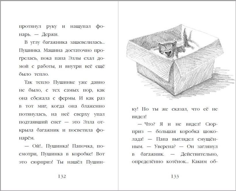 Котёнок Пушинка, или Рождественское чудо фото книги 4