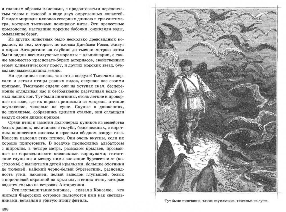 Двадцать тысяч лье под водой фото книги 5