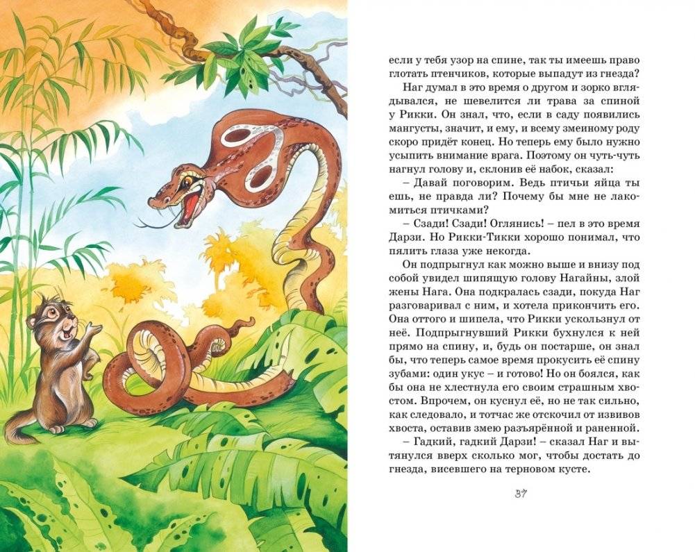 Сказки фото книги 7