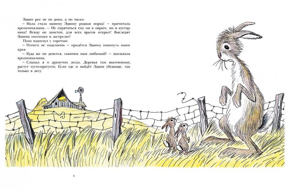 Большой Эдвин фото книги 2