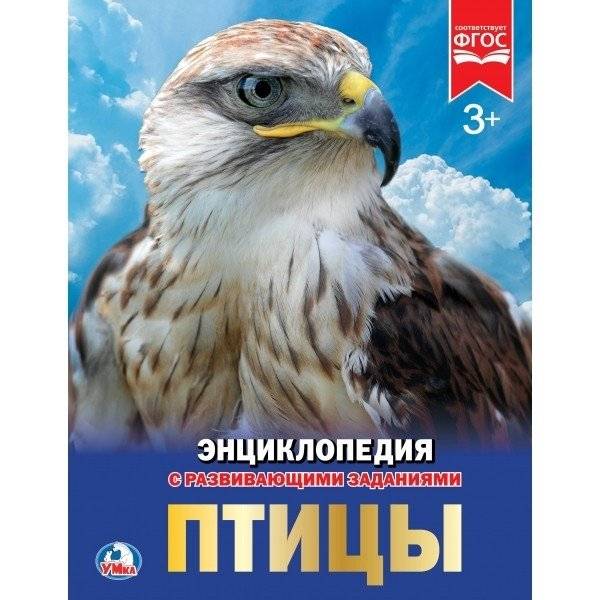 Птицы | Birds