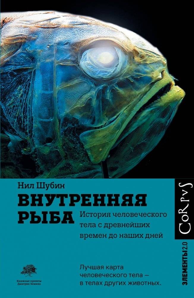 Внутренняя рыба | The Inner Fish