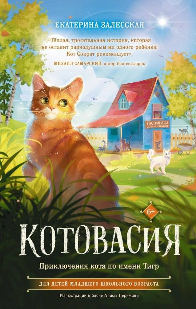 Котовасия. Приключения кота по имени Тигр. Повесть | Cataclysm. The Adventures of a Cat Named Tiger. A Story