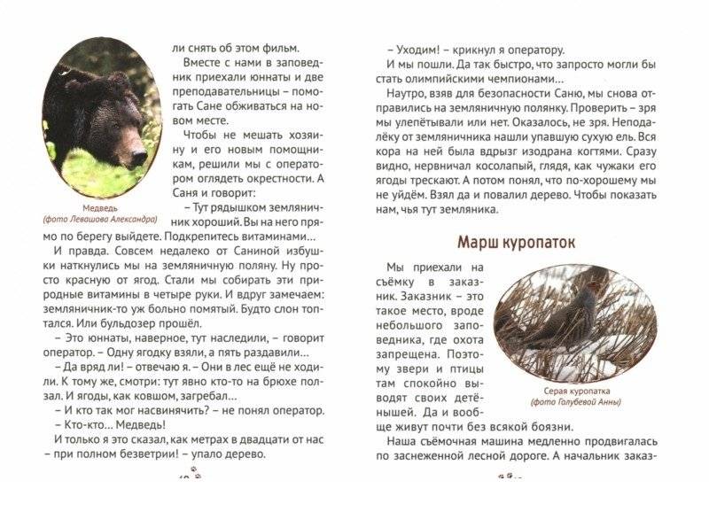 Пряники для слона фото книги 4