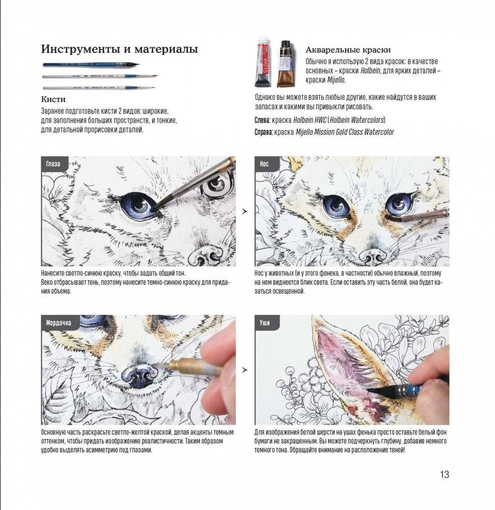 Скетчбук-раскраска. Мир поразительных существ Кэна Мацуды (белая с кроликом) фото книги 6