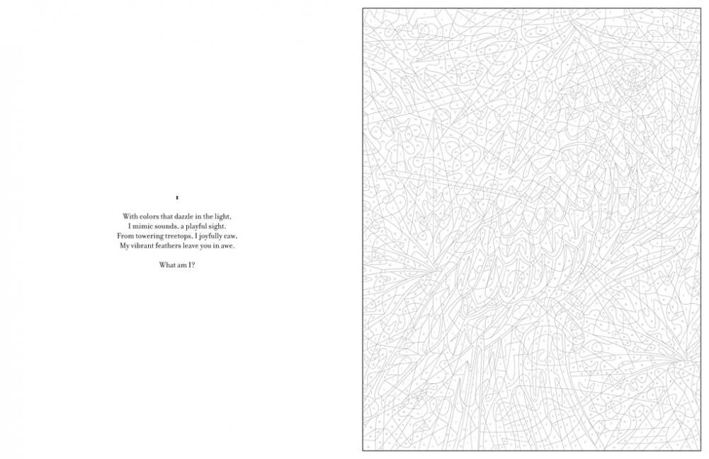 Mystery Coloring Wild Animals фото книги 4