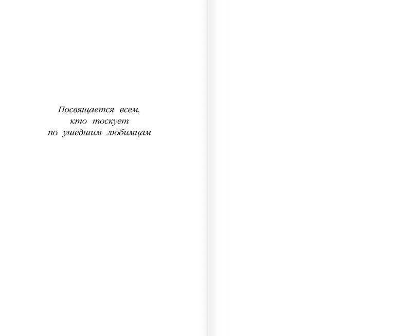 Котёнок Усатик, или Отважное сердце фото книги 4