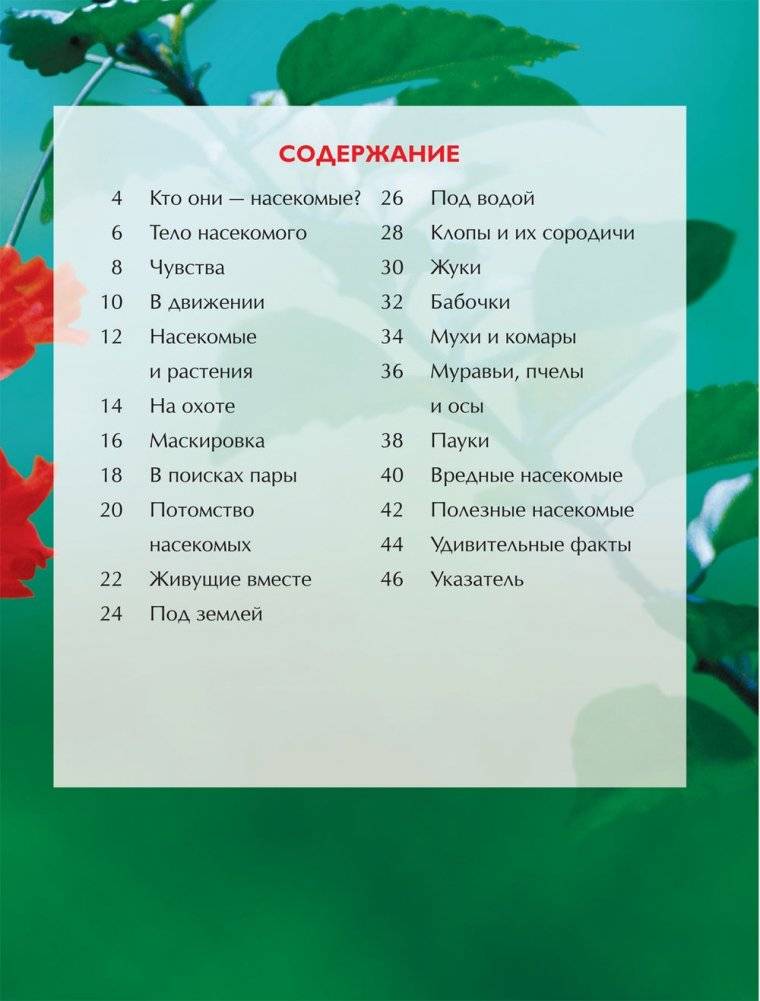 Насекомые. Детская энциклопедия фото книги 4