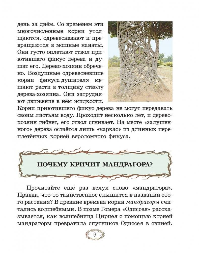Чудо-корни фото книги 4