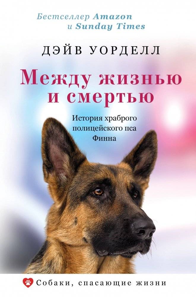 Между жизнью и смертью. История храброго полицейского пса Финна | Between Life and Death: The Story of Finn the Brave Police Dog
