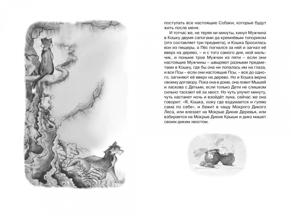 Сказки фото книги 5