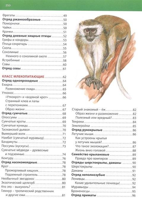 Животные. Детская энциклопедия фото книги 8