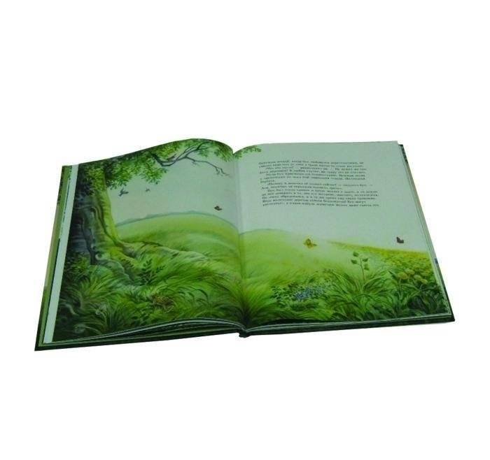 Маленькая березка фото книги 6