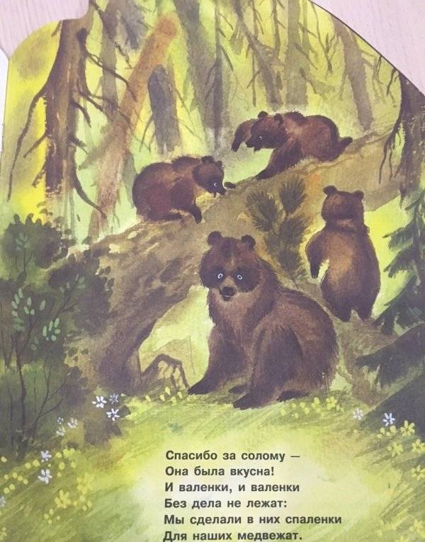 Почтовая история фото книги 5