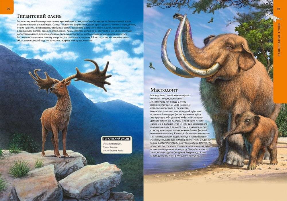 Большая детская энциклопедия динозавров фото книги 4