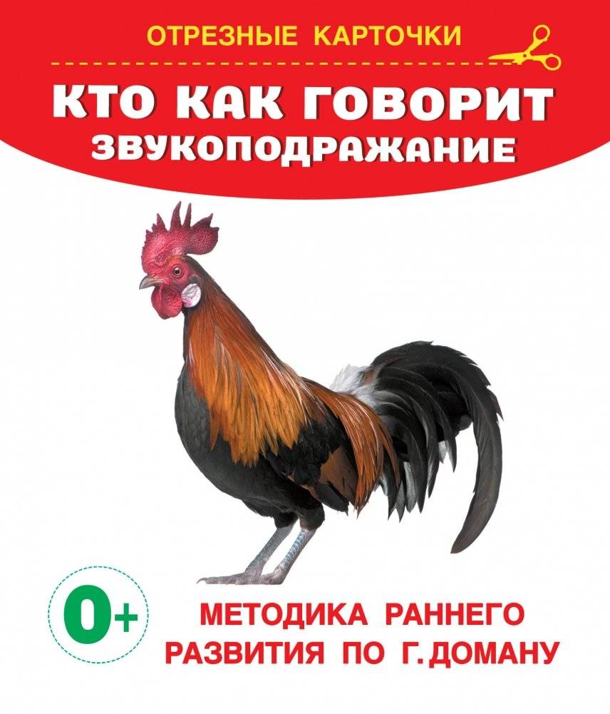 Кто как говорит? Звукоподражание | Who Says What? Onomatopoeia