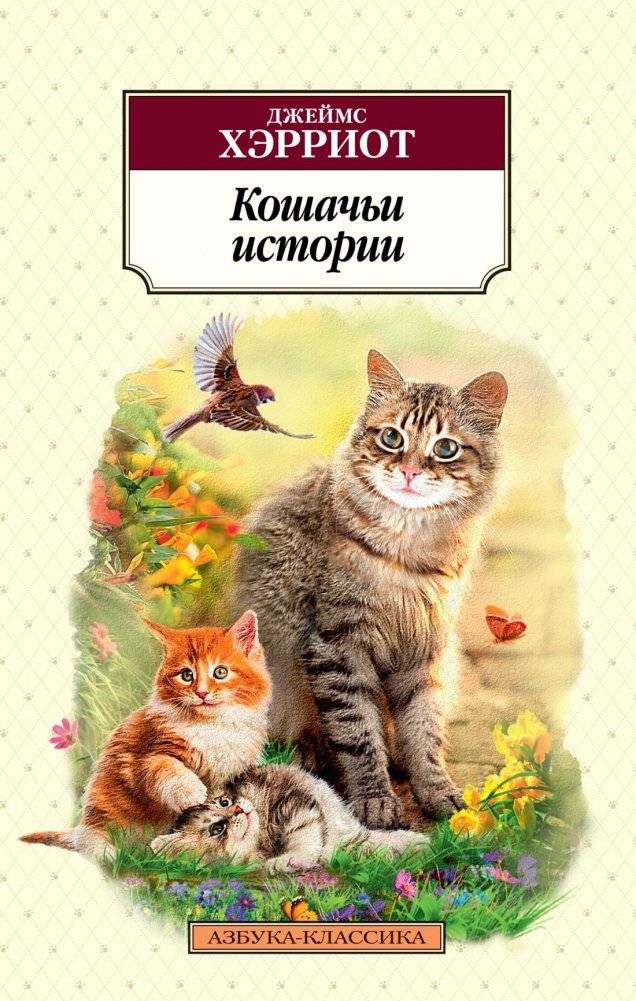 Кошачьи истории | Cat Stories
