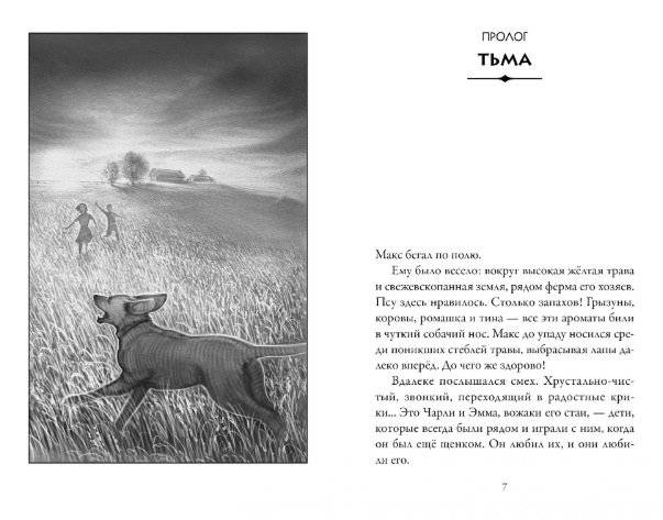 Верные. Книга 1. Когда исчезли все люди фото книги 2