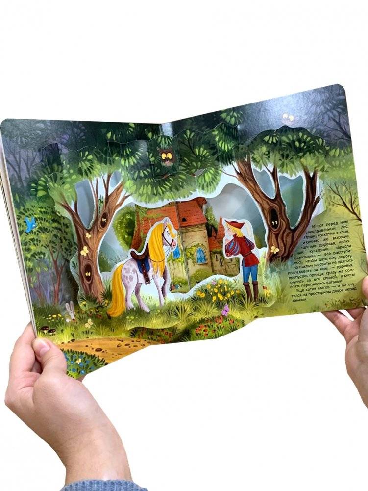 Спящая красавица фото книги 3