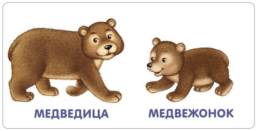 Книжки - картонки. Животные и детёныши фото книги 2