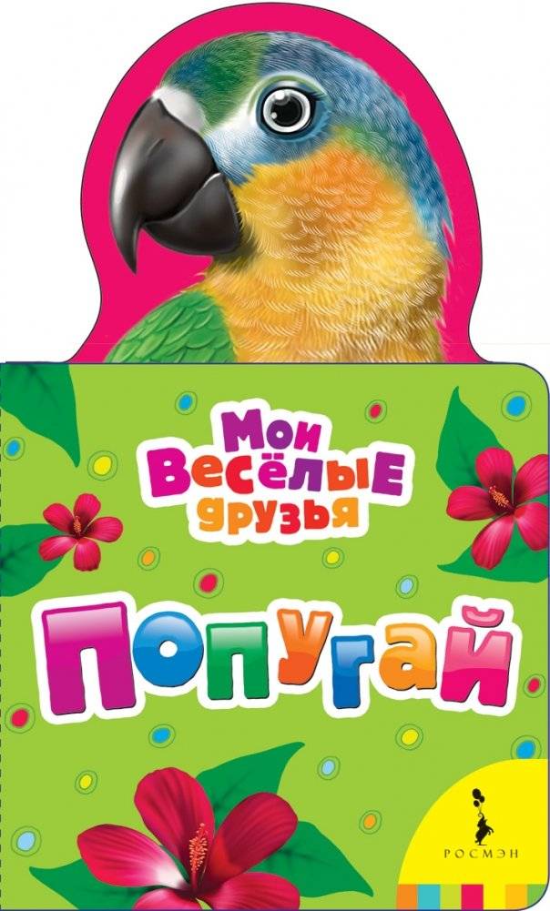 Попугай | Parrot