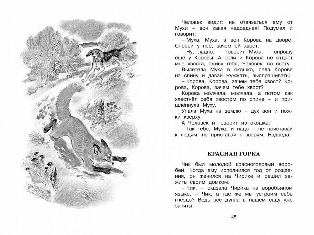 Как Лис Ежа перехитрил фото книги 5
