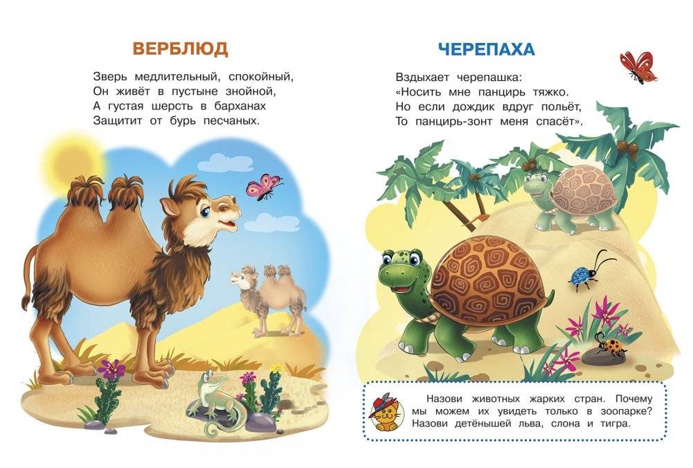 Животные зоопарка. Играем и учимся с наклейками фото книги 4