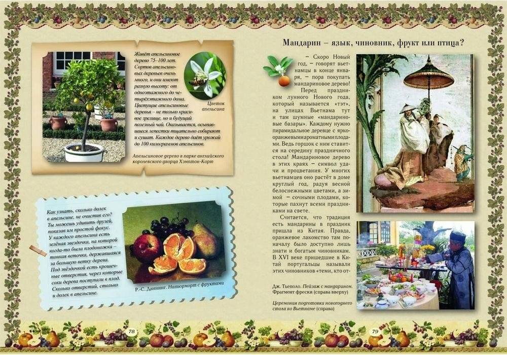 Прогулки по саду фото книги 7