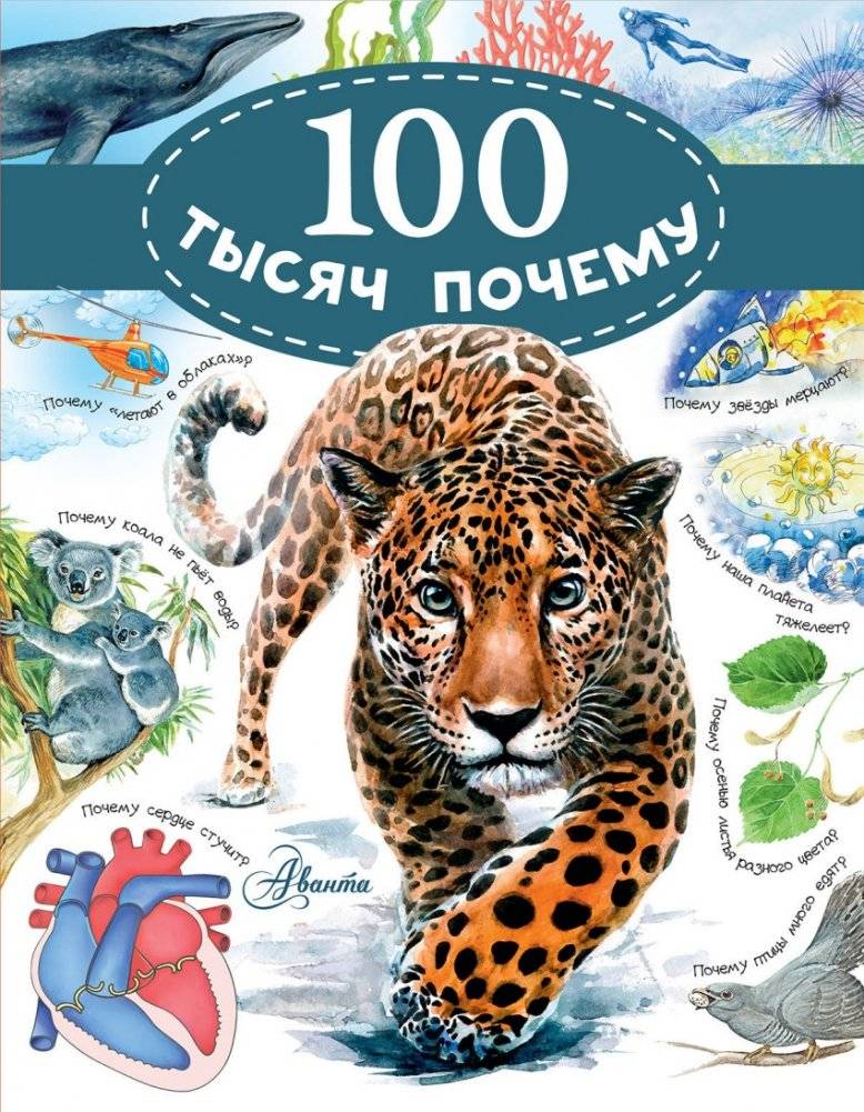 100 тысяч почему | 100 Thousand Whys